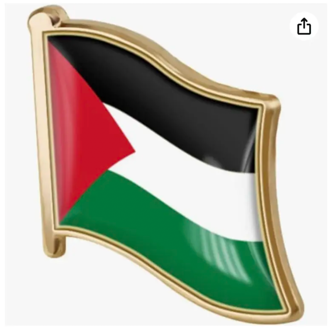 High Quality Palestine Flag Pin | Free Palestine End Israeli Occupation Pin | PACK OF 2. TWO PIECES TOTAL